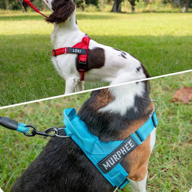 Personalized Dog Harness