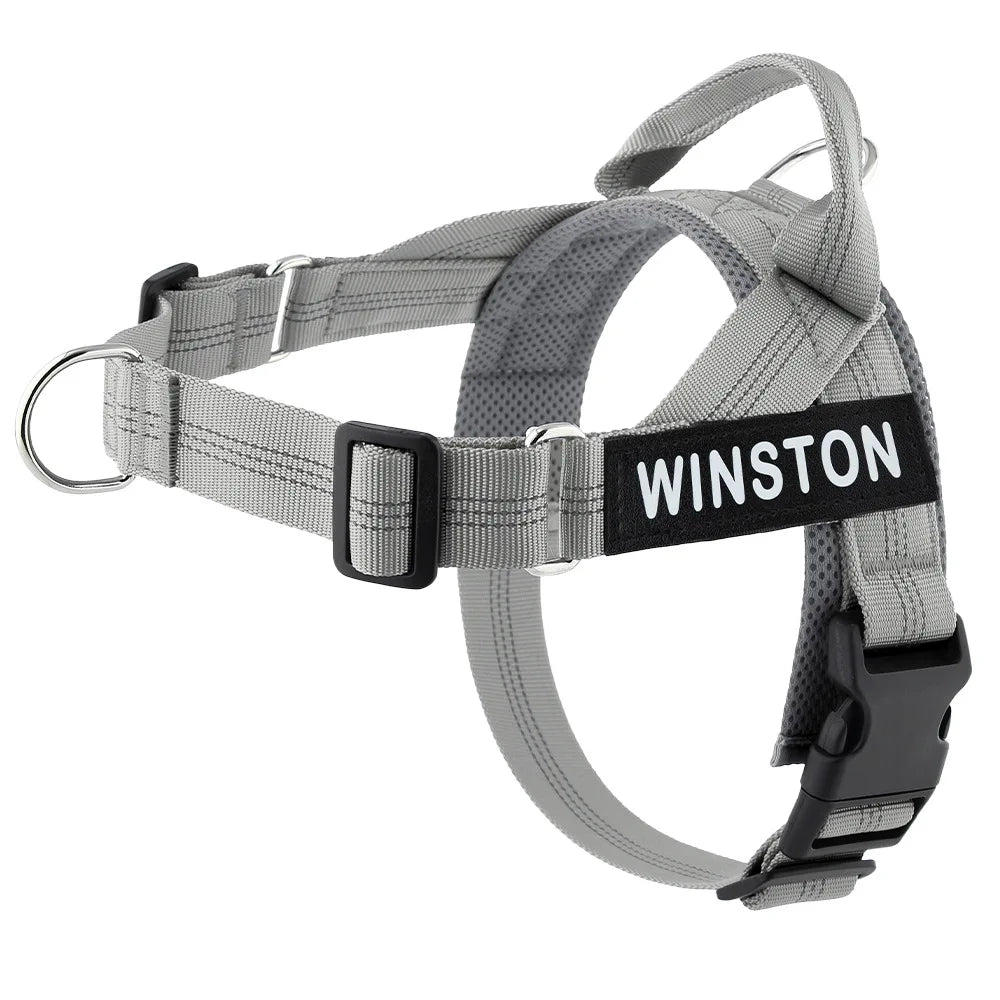 Personalized Dog Harness