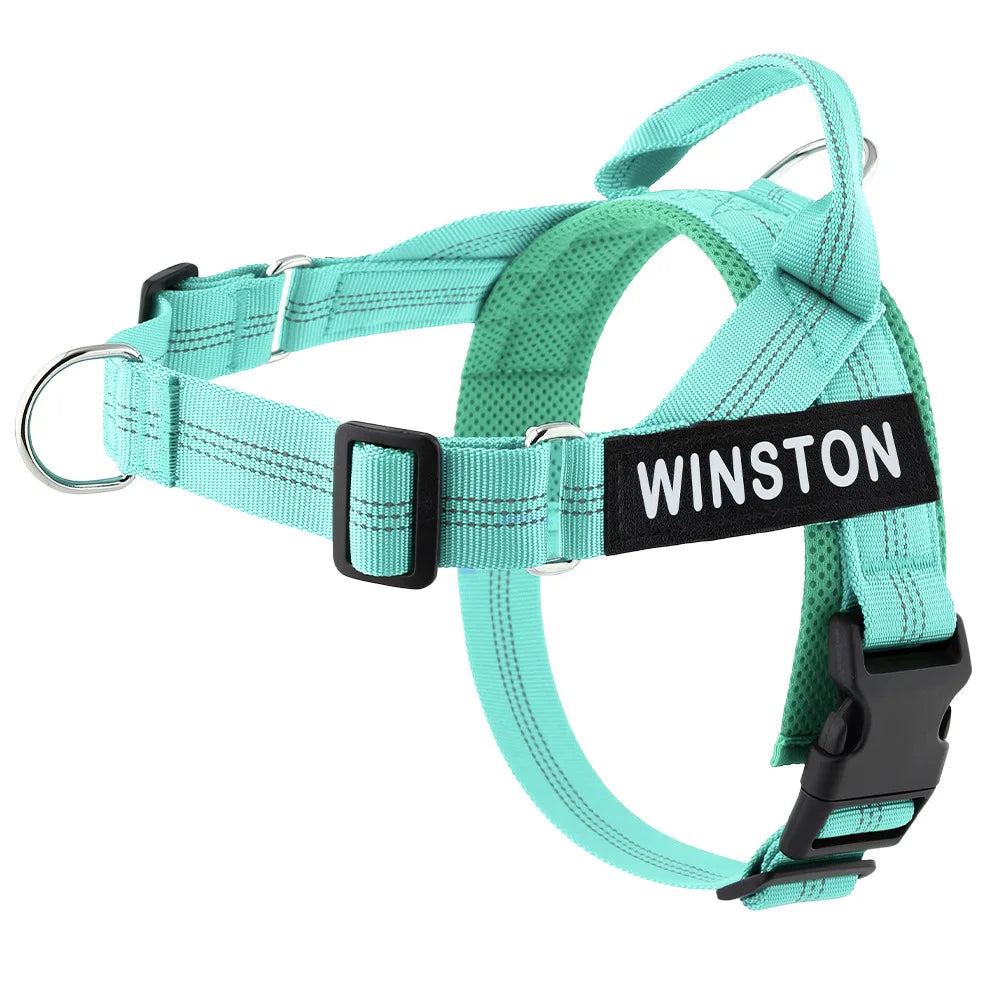 Personalized Dog Harness