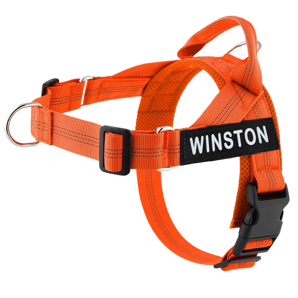 Personalized Dog Harness