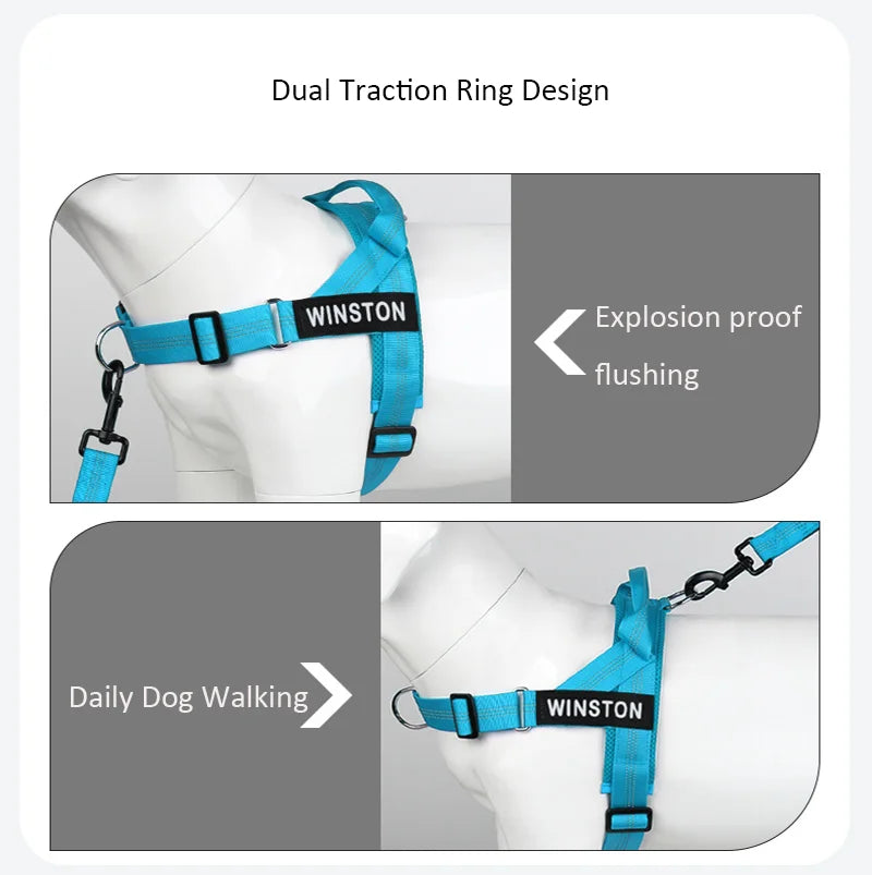 Personalized Dog Harness