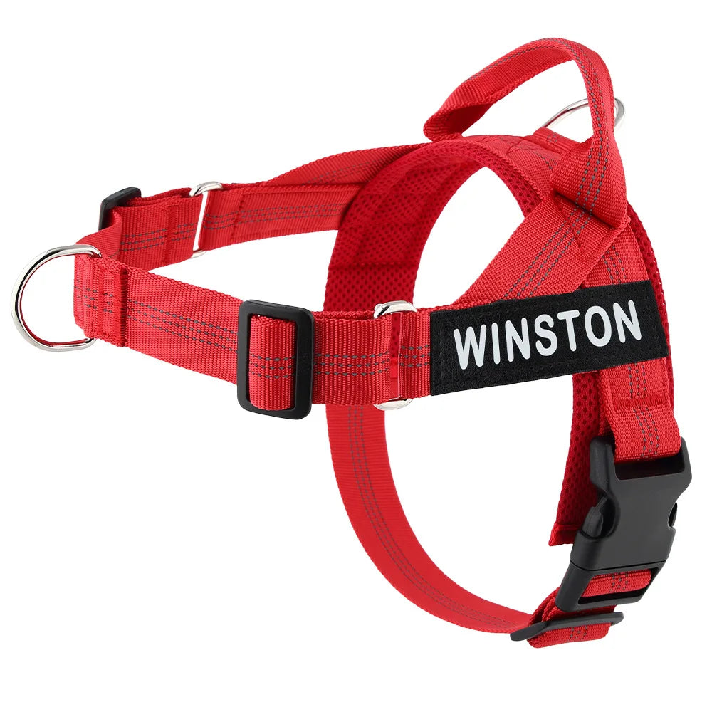 Personalized Dog Harness