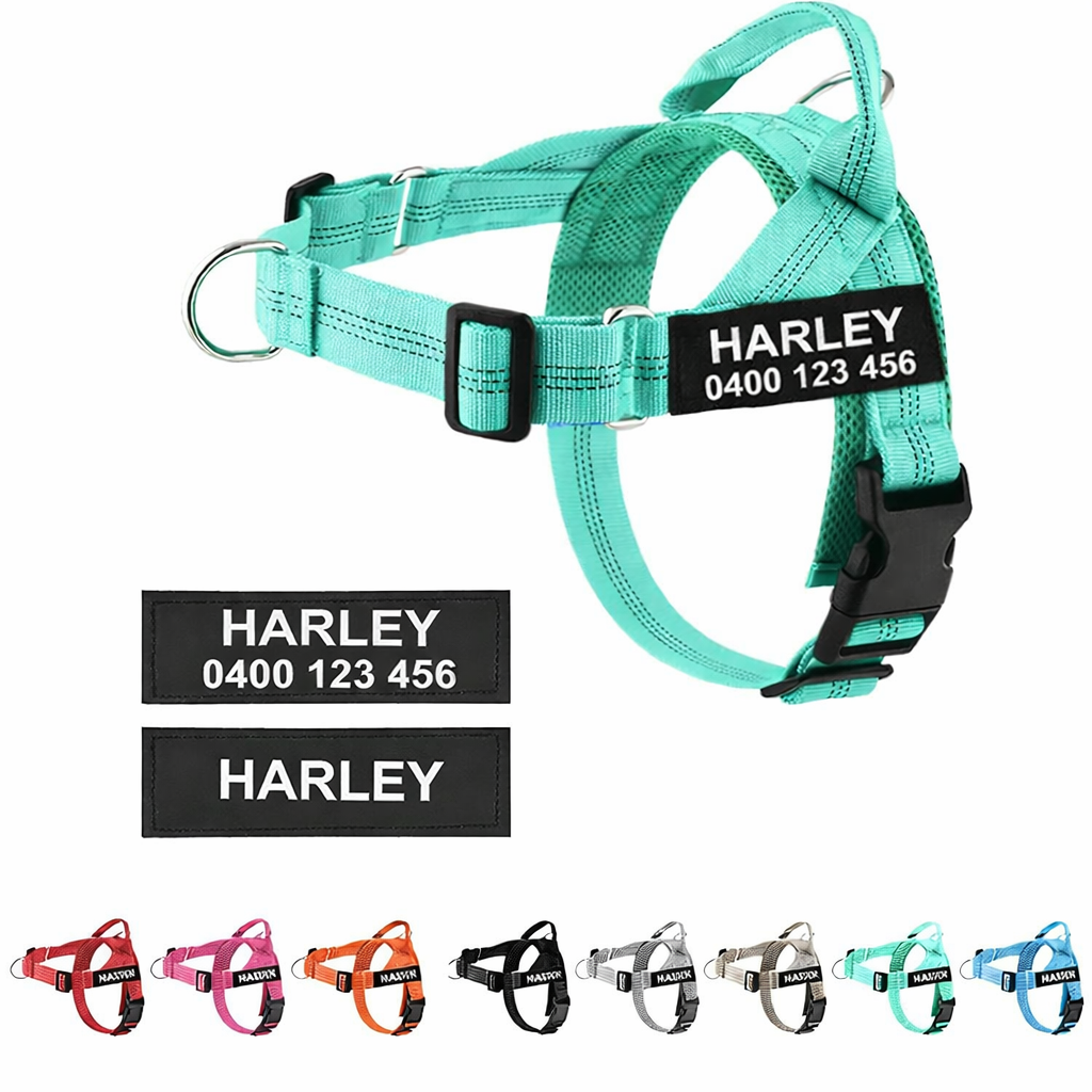Personalized Dog Harness