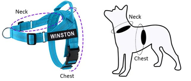 Personalized Dog Harness